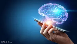 الگوریتم رنک برین و تاثیر آن بر سئو